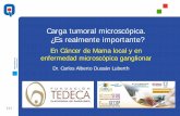 Carga tumoral microscópica. ¿Es realmente …...Dr. Carlos Alberto Dussán Luberth R1IT8GHQPC05 Rev.3 [ 2 ] Carga tumoral “ Número de células tumorales, el tamaño del tumor