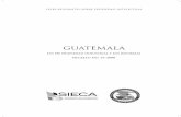 GUATEMALA Propiedad Industrial (Version... · Guatemala, publicado en el Diario Oficial el 29 de mayo de 2006 y con vigencia dos años des-pués de la entrada en vigencia del Tratado