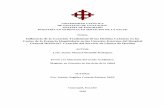 Influencia de la Curación Tradicional de las Heridas Crónicas en los Costos de la ...repositorio.ucsg.edu.ec/bitstream/3317/9811/1/T-UCSG-POS... · 2018-03-20 · Factores Generales