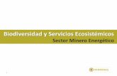 Biodiversidad y Servicios Ecosistémicos · SME & BD: toma de decisiones Implementación PasBIOME Indicadores de Integración territorial Nacional • Ecosistemas estratégicos •