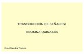 TRANSDUCCIÓN DE SEÑALES TIROSINA QUINASAS Ecuador... · a diferencia de los receptores con siete dominios transmembrana, rtk no interactÚan directamente con su proteÍna g (ras)