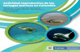 Actividad reproductiva de las tortugas marinas en Colombia · y seguimiento de nidos de tortugas marinas en Colombia, enfocado en la toma de in-formación estandarizada requerida