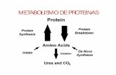 METABOLISMO DE PROTEINAS - eliasnutri · 2017-09-17 · PROTEINAS • 16 g de N por 100 g de proteina = 6,25, * Componente de los tejidos corporales, Varia ampliamente en su composicion