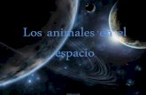 Los animales en el espacioiespoetaclaudio.centros.educa.jcyl.es/sitio/upload/animales_espacio_sara.pdf · El experimento fue desarrollado para que los científicos pudieran determinar