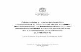 Obtención y caracterización bioquímica y funcional de la ...bdigital.unal.edu.co/54932/1/luisernestocontrerasrodriguez.2016.pdfpublic health issue in Colombia. Several structural