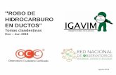 ROBO DE HIDROCARBURO - IGAVIM Generados/Reportes/2019... · 2. El histórico mensual de los registros de 11 entidades federativas de enero 2018 a junio 2019 3. Los 100 municipios
