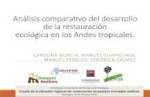 Análisis compara.vo del desarrollo de la restauración ...³n-Carolina-Murcia.pdfReglamentos de la Ley Forestal 2015* Lineamientos para la compensación ambiental 2014 Estrategia