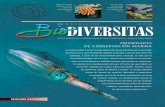 prIorIdades de conservacIón marInabioteca.biodiversidad.gob.mx/janium/Documentos/6315.pdf · nental de 388 000 km 2, 15670 km de estuarios y una superficie insular de 5 083 km2.
