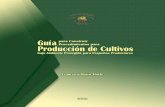 Guía para Construir Producción de Cultivos · 2019-11-19 · Guía para Construir Procedimientos para Producción de Cultivos bajo Ambiente Protegido para Pequeños Productores