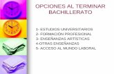 OPCIONES AL TERMINAR BACHILLERATO · OPCIONES AL TERMINAR BACHILLERATO 1- ESTUDIOS UNIVERSITARIOS 2- FORMACIÓN PROFESIONAL ... acceso Graduado ESO GRADO SUPERIOR: titulación Téc