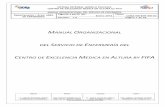 MANUAL ORGANIZACIONAL DEL SERVICIO DE ENFERMERIAcufcd.edu.mx/calidad/v20/documentacion/CM/CEMA-MN-E-3.pdf · sistema integral modelo pachuca centro de excelencia medica en altura