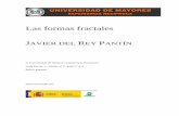 Las formas fractales J REY PANTÍN - UMER | Universidad de ...umer.es/wp-content/uploads/2015/05/n62_las_formas_fractales.pdf · unen 4 figuras de la etapa 1, con tres lados del cuadrado