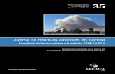 Quema de residuos agrícolas en Sonora · Cuadro 8. Comparación de las emisiones por quema de residuos del desvare del cultivo de espárrago en Caborca: CCA 2017 vs. INEM 2013 39
