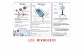 naturalmata.files.wordpress.com · Web viewBusca y explica la relación entre Alexander Fleming y uno de los microbios representados en la imagen inicial. ¿Por qué vemos hoy en