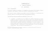 CAPITULO II · 2010-10-19 · De acuerdo a la Norma Internacional de Auditoría # 200 “Objetivo y principios generales que gobiernan una auditoría de estados financieros”, el