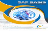consultingscm.net · SAP BASIS y que realizan una planificación, implementación, control y evaluación de los procesos de administrativos del ERP, así como también: .Administradores