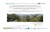 MINISTERIO DE AMBIENTE Y RECURSOS NATURALES … · MINISTERIO DE AMBIENTE Y RECURSOS NATURALES Preparación de la Estrategia Nacional para la Reducción de Emisiones por Deforestación