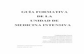 GUIA FORMATIVA UNIDAD DE MEDICINA INTENSIVA · c) Neumología (2 meses). Fisiopatología, diagnóstico y tratamiento de los pacientes con insuficiencia respiratoria aguda y crónica,