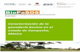 Biodiversidad y Paisajes Ganaderos Agrosilvopastoriles Sostenibles · 2018-12-17 · Biodiversidad y Paisajes Ganaderos Agrosilvopastoriles Sostenibles Caracterización de la ganadería