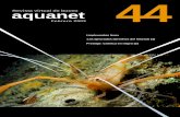 Revista virtual de buceo aquanet - SENSACIONES.org · Airtech es el nuevo regulador Cressi: Técnico,ligero,de prestaciones récord. Su 2º etapa con válvula compensada reduce el