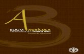 libro Boom Agricola - UNAMpaginaspersonales.unam.mx/app/webroot/files/1311/... · Anexo 1: Magnitudes de la Pobreza y la Indigencia 1997-2007 54 Anexo2 : Los criterios laborales en