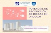 POTENCIAL DE PRODUCCIÓN DE BIOGÁS EN URUGUAY · Tratamiento de efluentes líquidos manto de lodos ENTRADA BIOGÁS SALIDA Esquema de reactor UASB . En Uruguay: SUSTRATOS SÓLIDOS