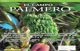 ASPA ASOCIACIÓN PALMERA DE AGRICULTORES Y GANADEROS … · La Palma sigue sin inspector ˜tosanitario tras cinco años. NOTICIAS 18 La cuota de mercado del plátano canario crece