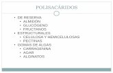 POLISACÁRIDOS - UNAMdepa.fquim.unam.mx/amyd/archivero/Carbohidratos-4_25221.pdf · polisacÁridos • de reserva • almidÓn • glucÓgeno • fructanos • estructurales • celulosa