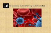 18 El sistema inmunitario y la inmunidad - NaturaCascalesnaturacascales.weebly.com/uploads/2/5/4/9/25496935/el_sistema_inmunitario.pdfCélulas asesinas (NK) Destruyen a células extrañas,
