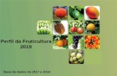 Perfil da Fruticultura 2019 - Minas Gerais · O valor da produção de Minas teve uma queda de -13,94% entre 2016 e 2017. O valor médio do abacate cultivado em Minas em 2017 foi