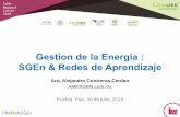 Gestion de la Energia : SGEn & Redes de Aprendizaje...profesionales y empresas en Gestión y Eficiencia Energética en ... de buenas practicas sobre medidas de Eficiencia Energética