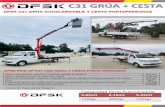 C31 GRÚA + CESTA · funcionará en el momento se seleccione función de plataforma aérea y una auxiliar manual ubicada en la base para el accionamiento del mismo en casos de emergencia,