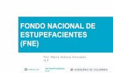 INTRODUCCIÓN AL FONDO NACIONAL DE …observatoriosaludcauca.gov.co/wp-content/uploads/2018/06/Presentación-FNE-21062018.pdf• 1500 empresas de la cadena logística de distribución