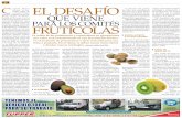  · de la palta chilena, y en cada presentación su polera tenía la imagen de uno de los productos estrella de las exportaciones frutícolas chilenas. Ambas iniciativas fueron parte