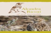ALONDRA RICOTÍ, EL AVE INVISIBLEmicorriza.org/.../2019/03/alondra_cuadernillo_pgs.pdf · 2019-03-18 · Como no le gusta volar, construye su nido en el suelo, lo que hace que muchos