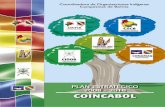 PLAN ESTRATÉGICO 2008 - 2018 COINCABOLsipi.info/repositorio/archivo/pdf21.pdfBOL en el marco del proyecto “Fortalecimiento de Políticas ... (CSUTCB), la Confederación de Pueblos