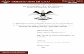 UNIVERSIDAD ANDINA DEL CUSCO FACULTAD DE DERECHO Y …repositorio.uandina.edu.pe/bitstream/UAC/631/3/Fares... · 2017-08-21 · sistemática de la Constitución basada en la igualdad