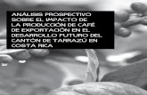 ANÁLISIS PROSPECTIVO SOBRE EL IMPACTO DE LA PRODUCCIÓN DE …publicaciones.icap.ac.cr/images/PDF-REVISTA/Revista71/articulo5.pdf · corriente productiva, puesto que la totalidad