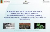 CADENA PRODUCTIVA DE PLANTAS AROMATICAS, …bibliotecadigital.agronet.gov.co/bitstream/11348/... · Agendas de investigación para cadenas productivas 2008-2009 CADENA PRODUCTIVA