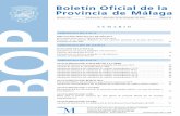 Boletín Oficial de la Provincia de Málaga: BOP 247 (suplemento …gestionformacion.es/wp-content/uploads/2018/12/BOP... · 2018-12-26 · entro de diciones de la iputacin de Málaga