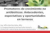 Promotores de crecimiento no antibióticos: Antecedentes, …³n Animal 2016... · 2017-02-14 · Ing. Jeffry Sánchez Salas, MSc V Congreso Nacional de Nutrición Animal y Producción