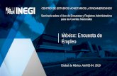 México: Encuesta de Empleo · •El diseño conceptual de la encuesta es acorde con las recomendaciones internacionales de la Organización Internacional del Trabajo (OIT) y los