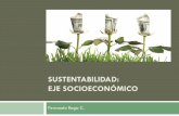 SUSTENTABILIDAD: EJE SOCIOECONÓMICO Raga - Perspectiva Socioecomica.pdf · de la Economía Ecológica Investiga aspectos ocultos por el sistema de precios, que infravaloran la escasez