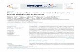 Efectos adversos de la acumulación renal de hemoproteínas ...scielo.isciii.es/pdf/nefrologia/v38n1/0211-6995-nefrologia-38-01-00013.pdf · en el organismo ya que participan en el