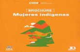 BROCHURE Mujeres indígenas...Concepto de arte de la portada Resumen gráﬁco de las principales ideas y conceptos del informe: “Las Mujeres Indígenas y sus Derechos Humanos en