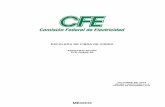 MÉXICO - CFElapem.cfe.gob.mx/normas/pdfs/f/R2600-04.pdf · Las escaleras de fibra de vidrio se clasifican en sencilla, con extensión, y autosoportada. ESCALERA DE FIBRA DE VIDRIO