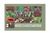 AUTORES - undp.org · calidad de la semilla y la diversiﬁcación de variedades desempeñen un rol fundamental. La práctica rural de los últimos cien años ha demostrado que los