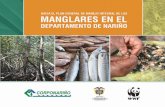 República de Colombia - Pandaawsassets.panda.org/downloads/plan_manejo_manglares_web.pdfLos manglares son ecosistemas, lo que significa que están integrados por varios elementos