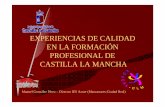 EXPERIENCIAS CASTILLA LA MANCHAfp.educaragon.org/files/5EXPERIENCIAS.pdf · Leonardo Da Vinci IES Juanelo Turriano ... • Si un centro garantiza que todos los profesores recogen