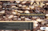 Hábitat y densidad de nidos de la Hormiga escamoleracolver.com.mx/2017/AGROPRODUCTIVIDAD.pdf · y más artículos de interés... pág. 10 PRECIO AL PÚBLICO $75.00 PESOS Hábitat